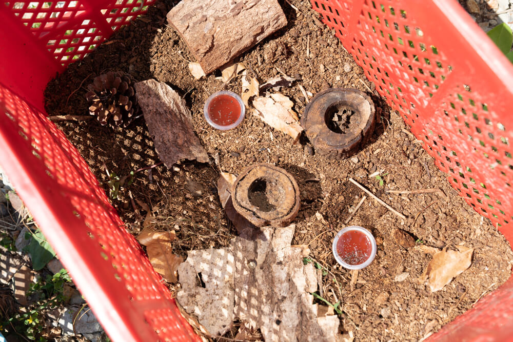 カブトムシの部屋